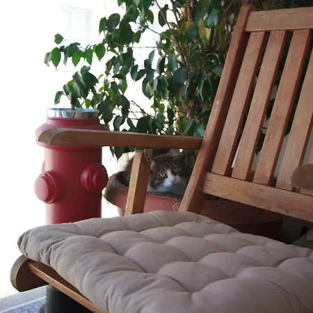 Vas' Penthouse Lejlighed *