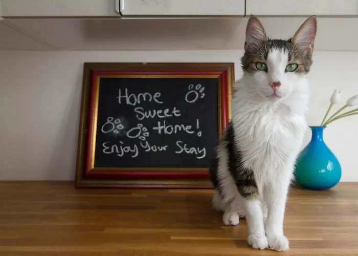 Lägenhet Vas' Penthouse