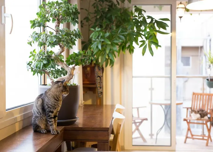 Lägenhet Vas' Penthouse *