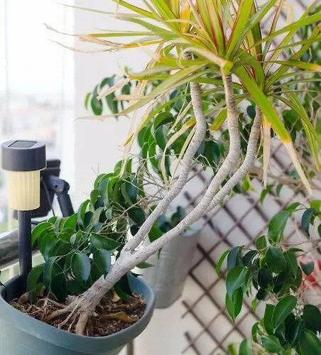 Vas' Penthouse Nicosia