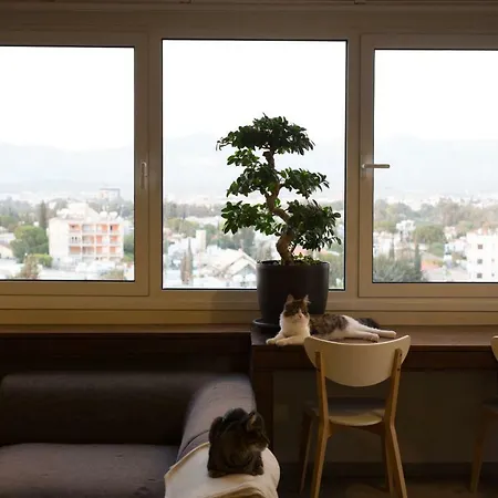 Daire Vas' Penthouse Lefkoşa