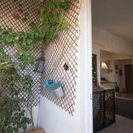 Vas' Penthouse Daire