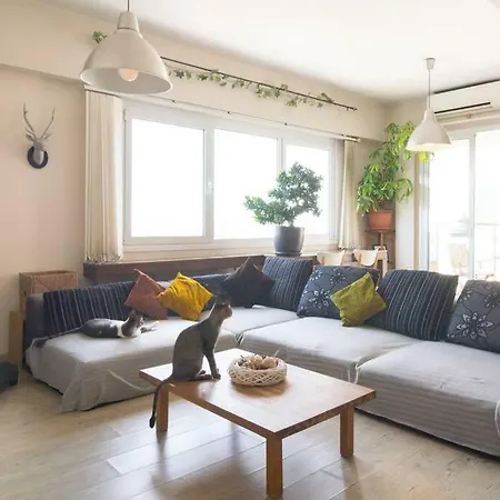Daire Vas' Penthouse